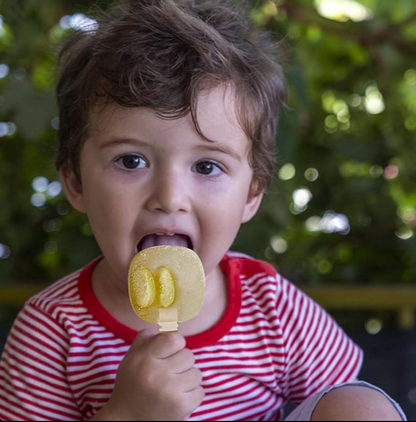 Moules à Glace Empilables avec Cuillères Intégrées – ECOCO