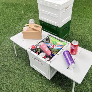 Table de Pique-Nique Pliante avec Rangement Intégré