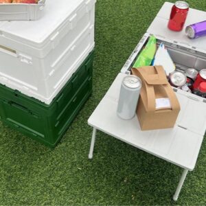 Table de Pique-Nique Pliante avec Rangement Intégré